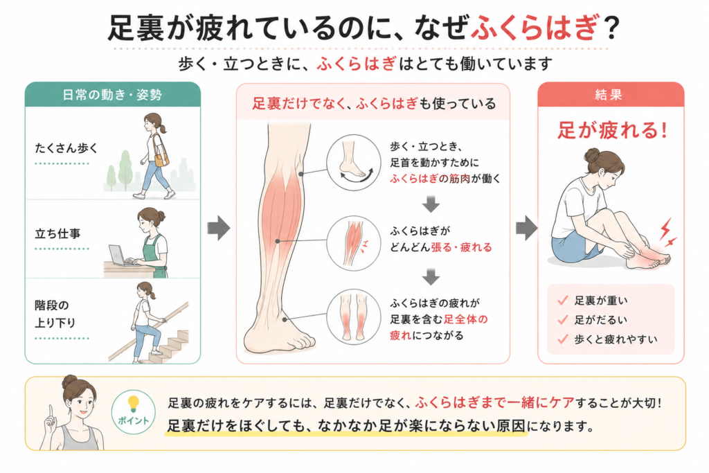 足の疲れの説明